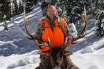 Bull Elk