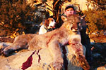 Mountain Lion