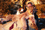 Mountain Lion